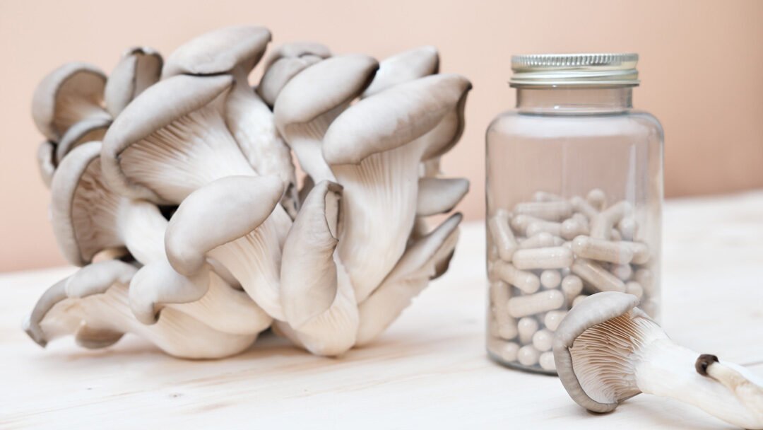 Nootropic Mushroom Supplements